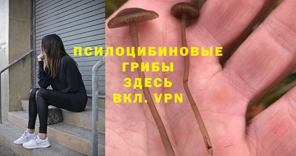 каннабис Красноперекопск
