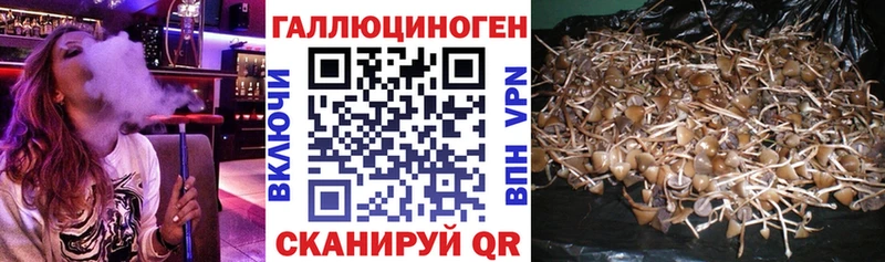 Купить  Анадырь  Галлюциногенные грибы Cubensis 